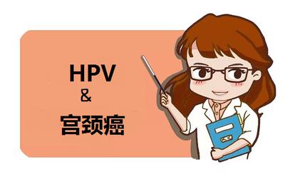 hpv和宫颈癌什么关系,hpv与宫颈癌的关系是一定的吗