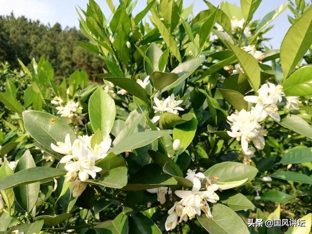 健康长寿大密诀,健康长寿秘诀