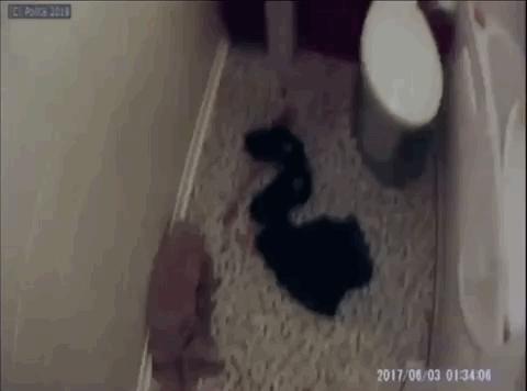 濂崇閬檺寰呭弻鑴氳鐑激闄╀簺鎴偄,濂崇琚悗濡堣檺寰呯儷浼ゆ垨鎴偄