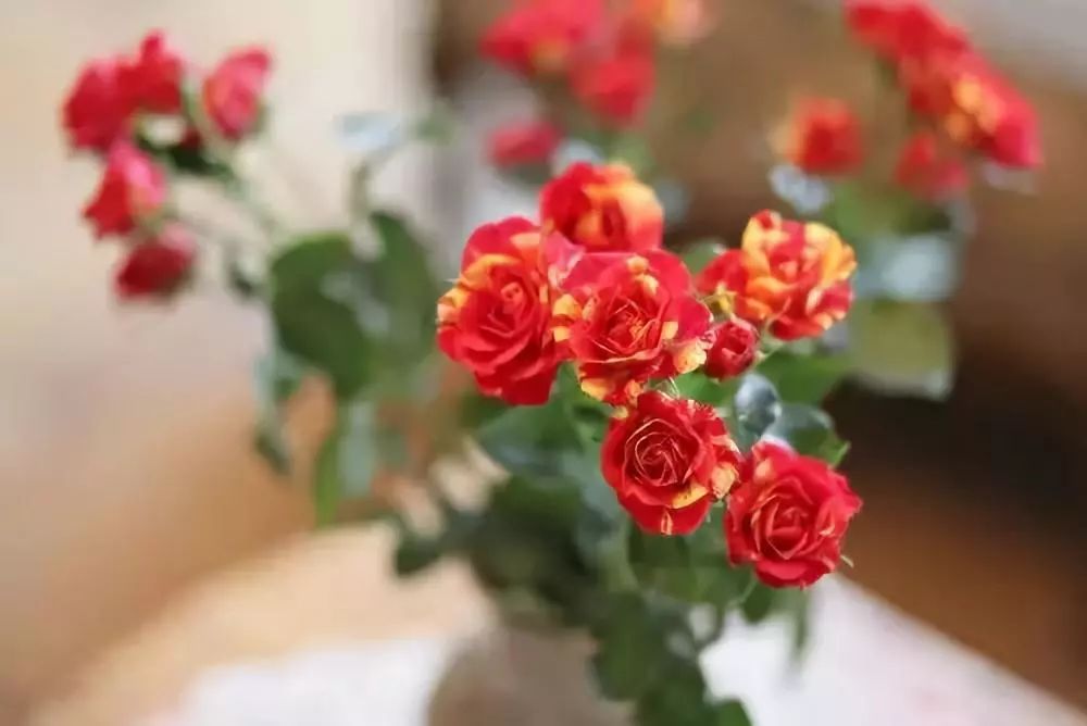 生活语录句句戳心文案,生活感悟情感美文经典语录