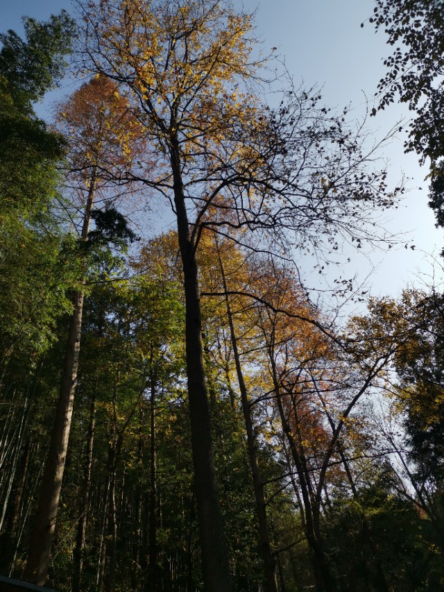 广水应山三潭简介,应山三潭风景区天气预报