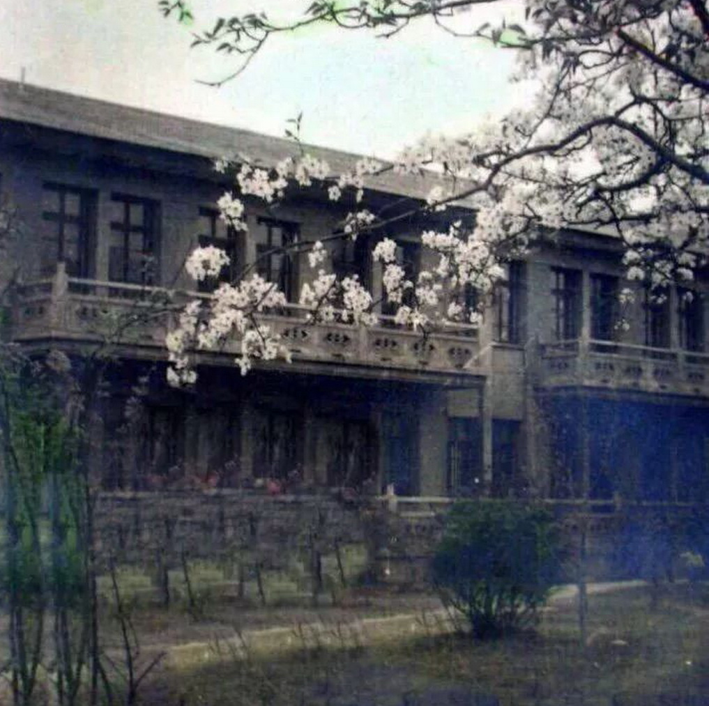 940医院兰州总院小西湖,小西湖中央医院及兰州军区总医院