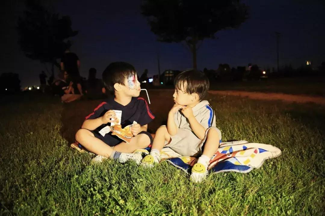 芝加哥南部旅游攻略图文,芝加哥附近旅游