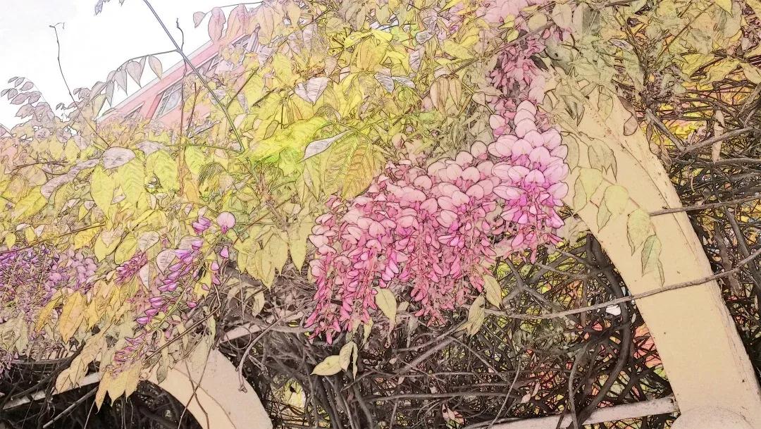 天津高级中学,天津市第二南开中学录取分数线