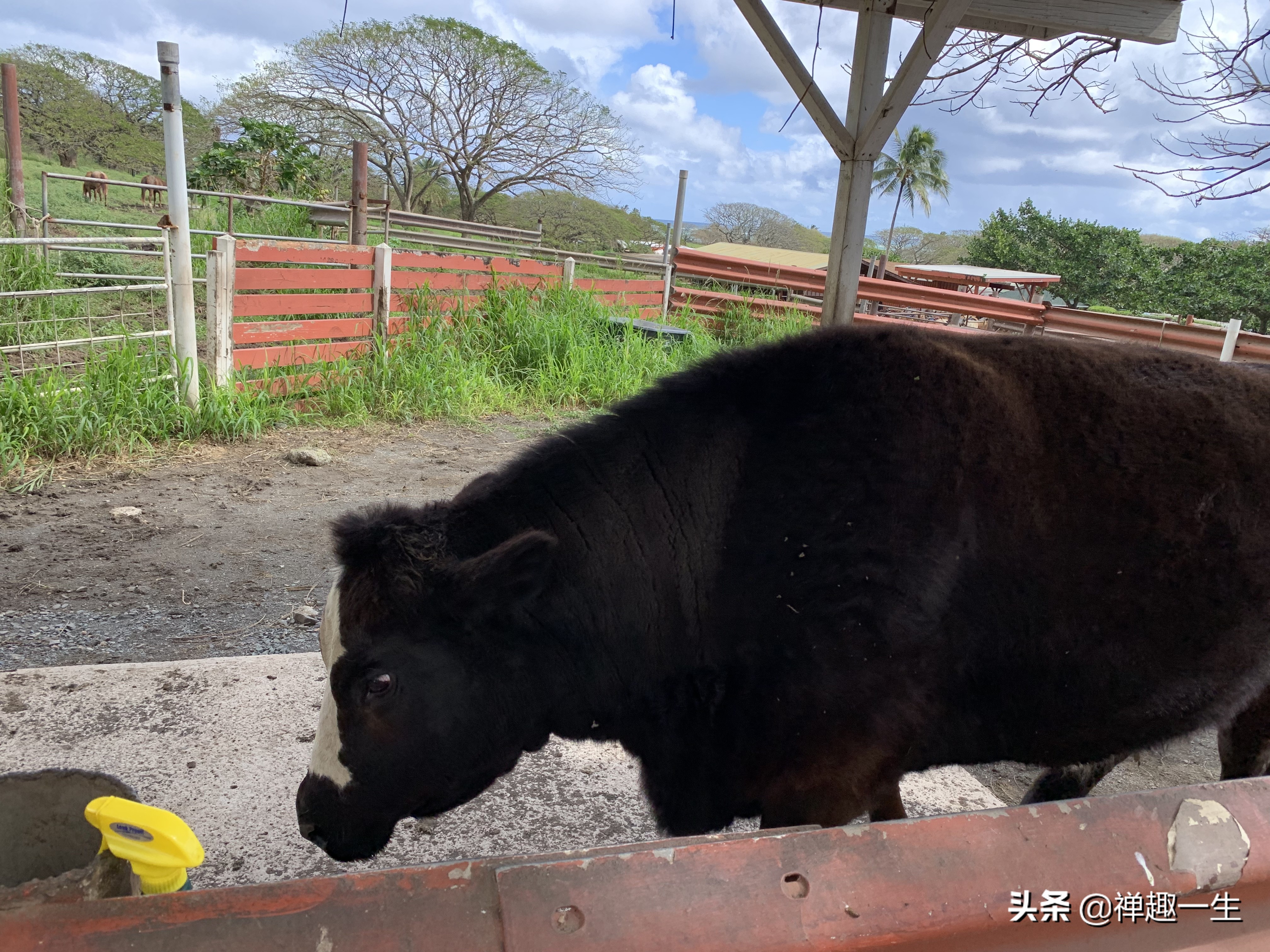 西班牙人哪里有好玩的,西班牙人看巴塞罗那