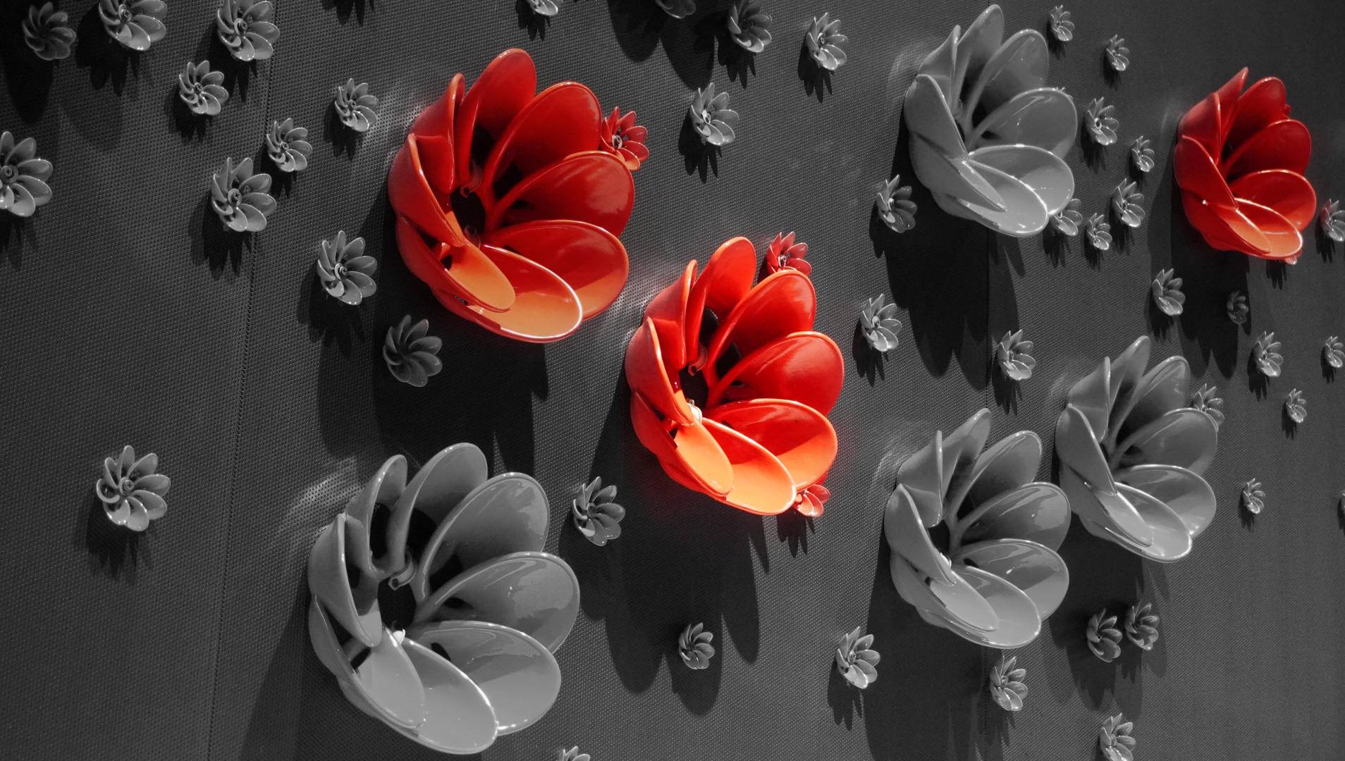 索尼微单6000与6100区别,索尼6100拍抖音评测