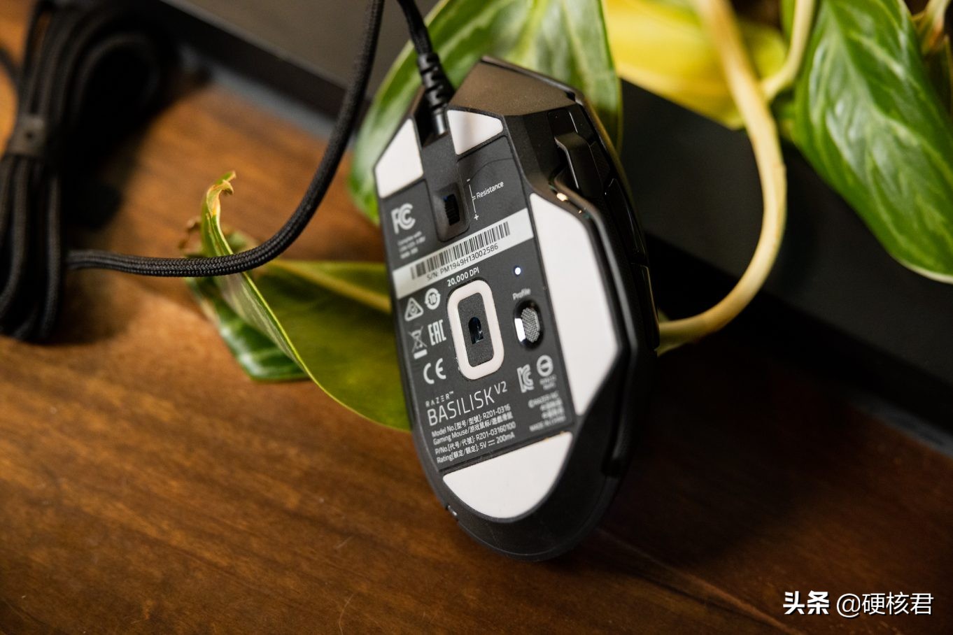 雷蛇鼠标蝰蛇标准版真实测评,雷蛇巴塞利斯蛇v2鼠标拆解