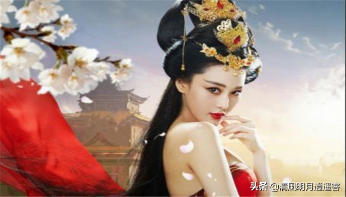 狐属于什么动物,狐是猫科动物吗