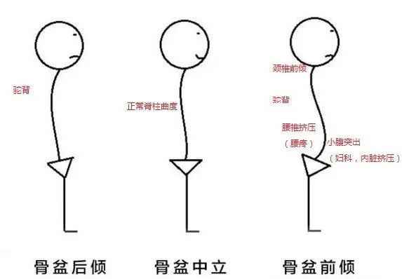 如何瘦大腿前凸最快速,教你一招瘦大腿内侧