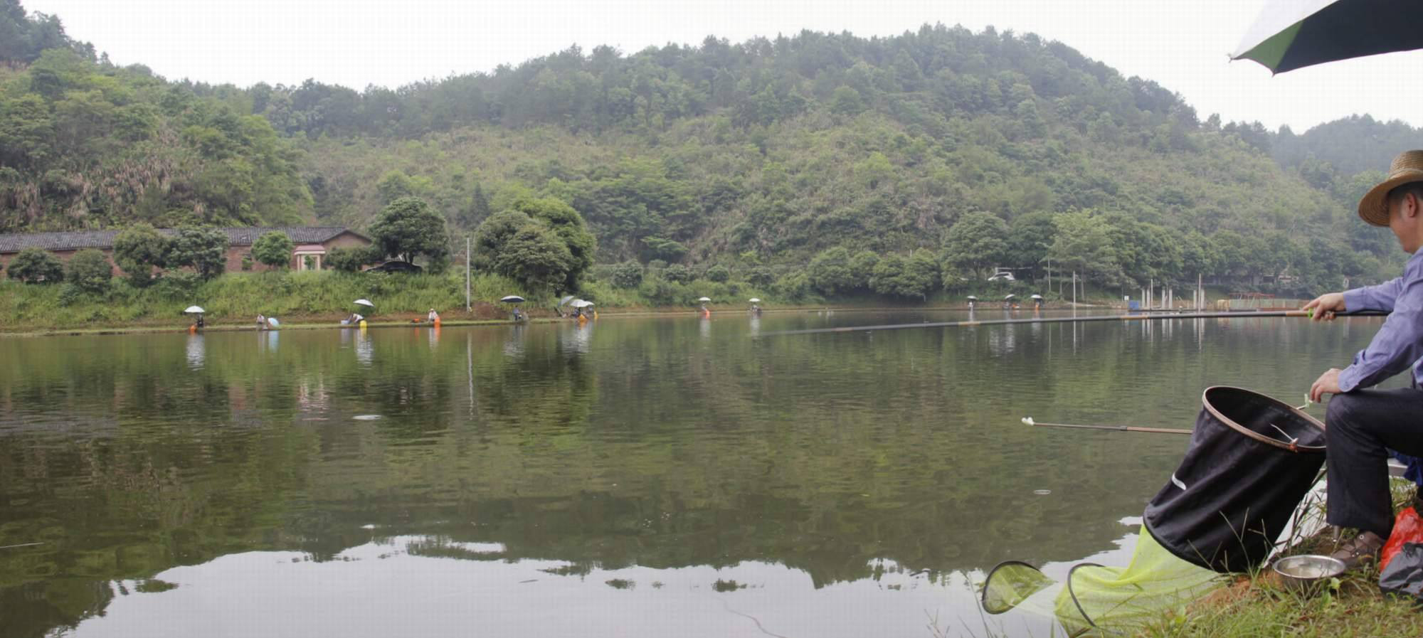 浮漂信号明显但是提竿不中鱼,浮漂没动作提竿却锚到了