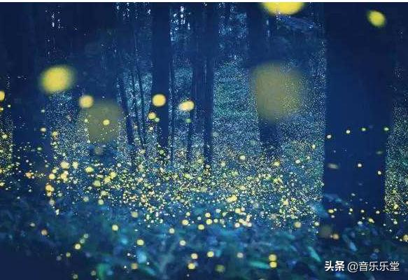 儿童跳舞抖音儿歌,抖音十大爆火儿歌盘点