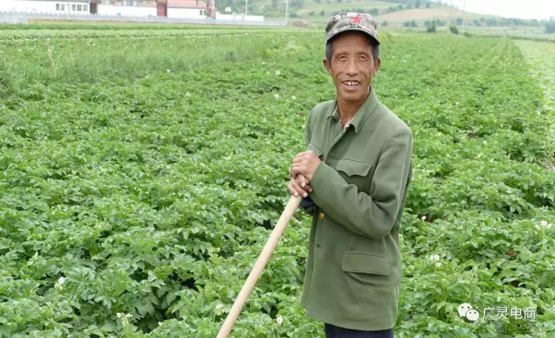 电商扶贫进大山,电商走进农村