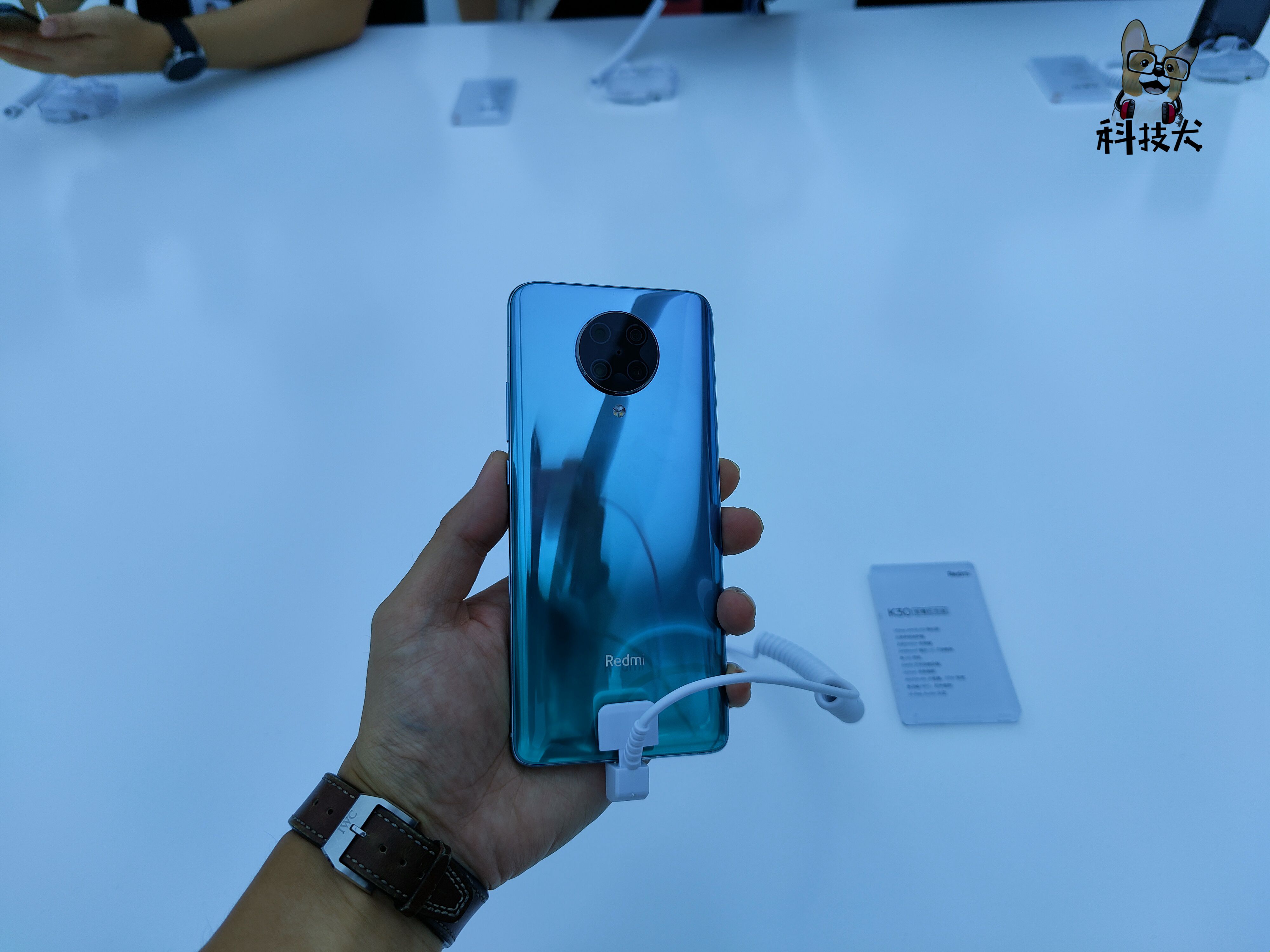 小米科技犬推荐,雷军小米极致爆款