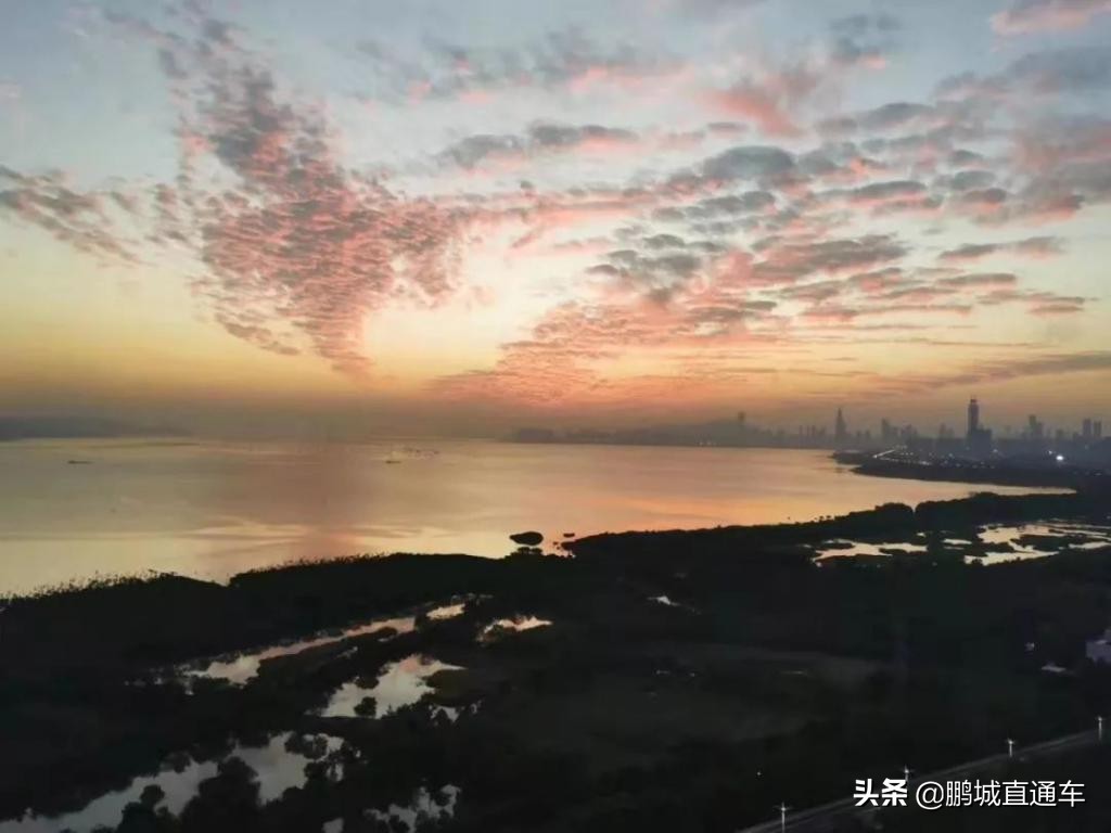 昨天深圳晚霞喜提热搜！美爆了，一大波晚霞图片来袭