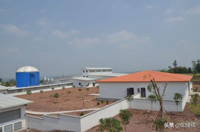 猪场场区分区图,猪场场区绿化平面图