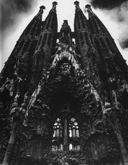 三岛由纪夫青年照,三岛由纪夫奔马图片