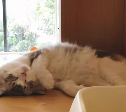 生活在南京的真实感受,南京适合生活嘛