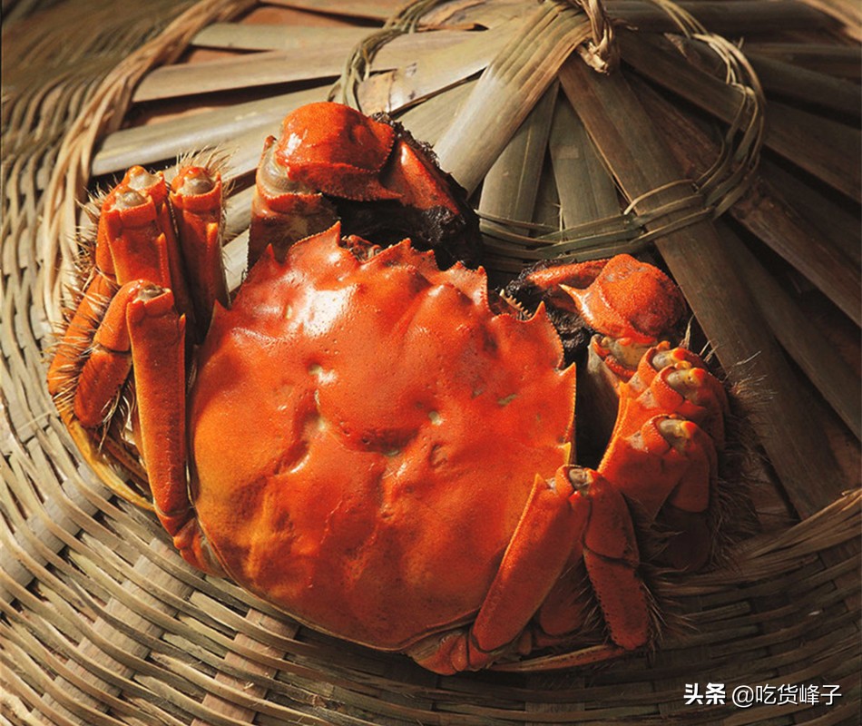 吃了这么多大闸蟹你真的吃对了吗,关于大闸蟹的这10个真相了解一下
