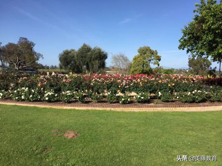 中国留学生开扒丹佛大学！那些你不知道的秘密