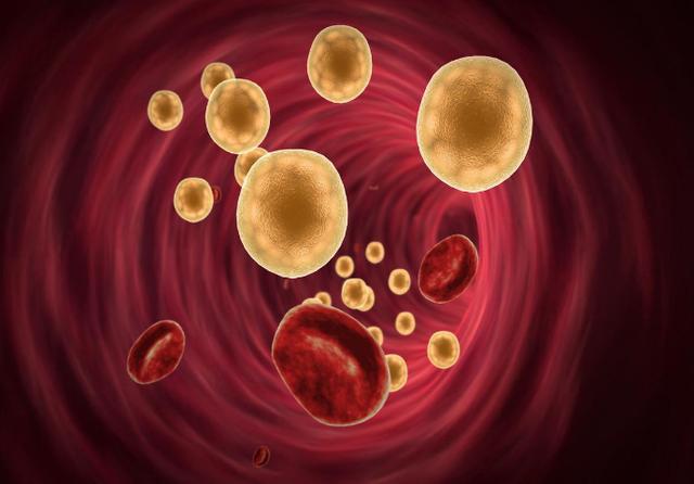 甲减病人一般甲减正常值能活多久,甲减的表现症状和甲减危害