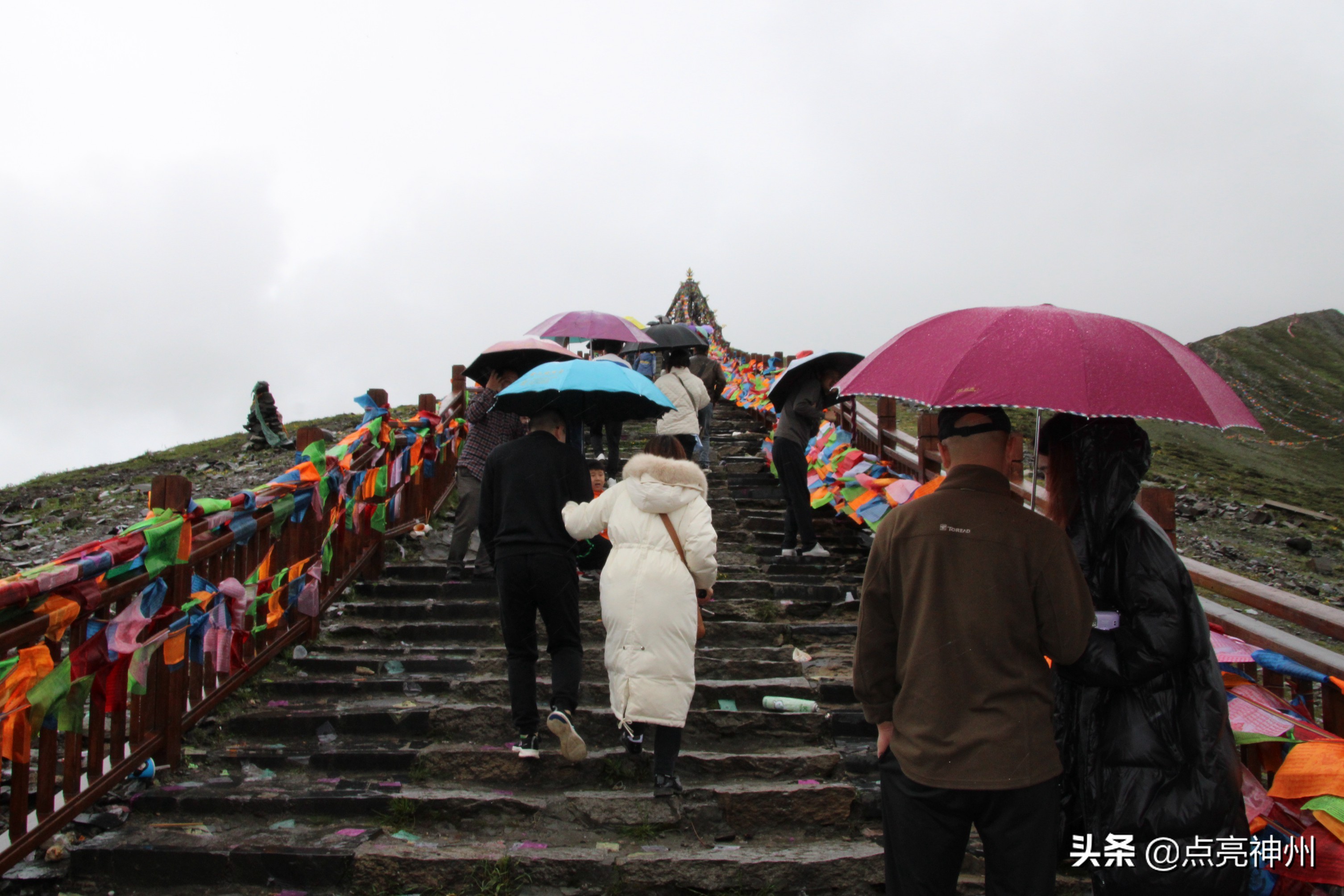 想去318是不是有点冲动,想去318再跑一圈的句子