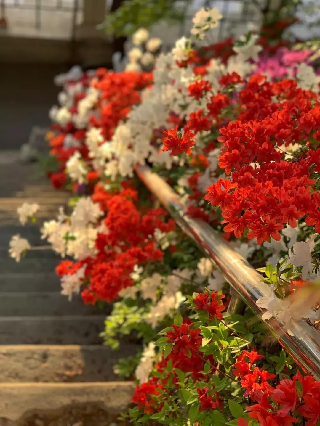 自己去韩国买便宜还是代购便宜,去韩国代购怎么走便宜