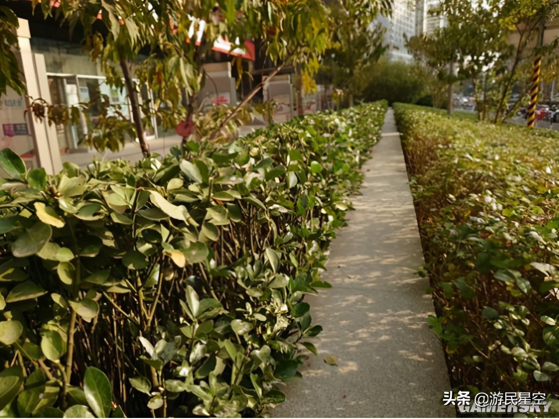 索尼小屏旗舰xperia5V,xperia5iii与xperia5ii对比