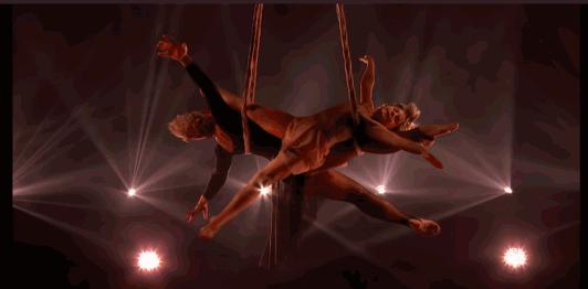 鍚哥儫绾硅韩濡堝,鎶界儫绾硅韩濡堝