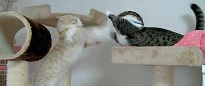 最快减肥方法一星期瘦10斤亲测,健康减肥30斤分享最有效减肥方法