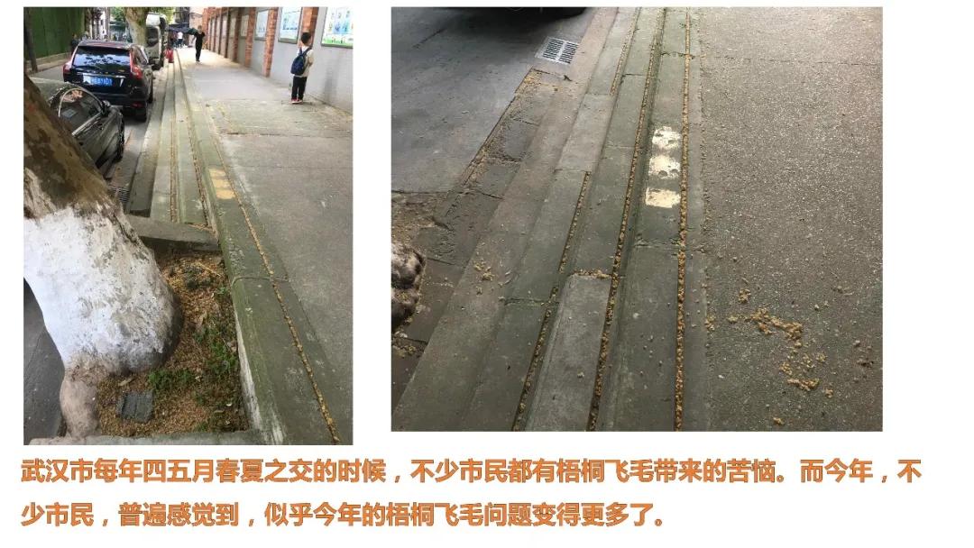 鲜花常在原创的音乐,鲜花常在创作的原声