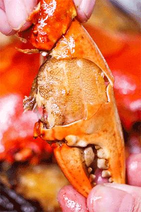 复工消费券,复工惠民食堂