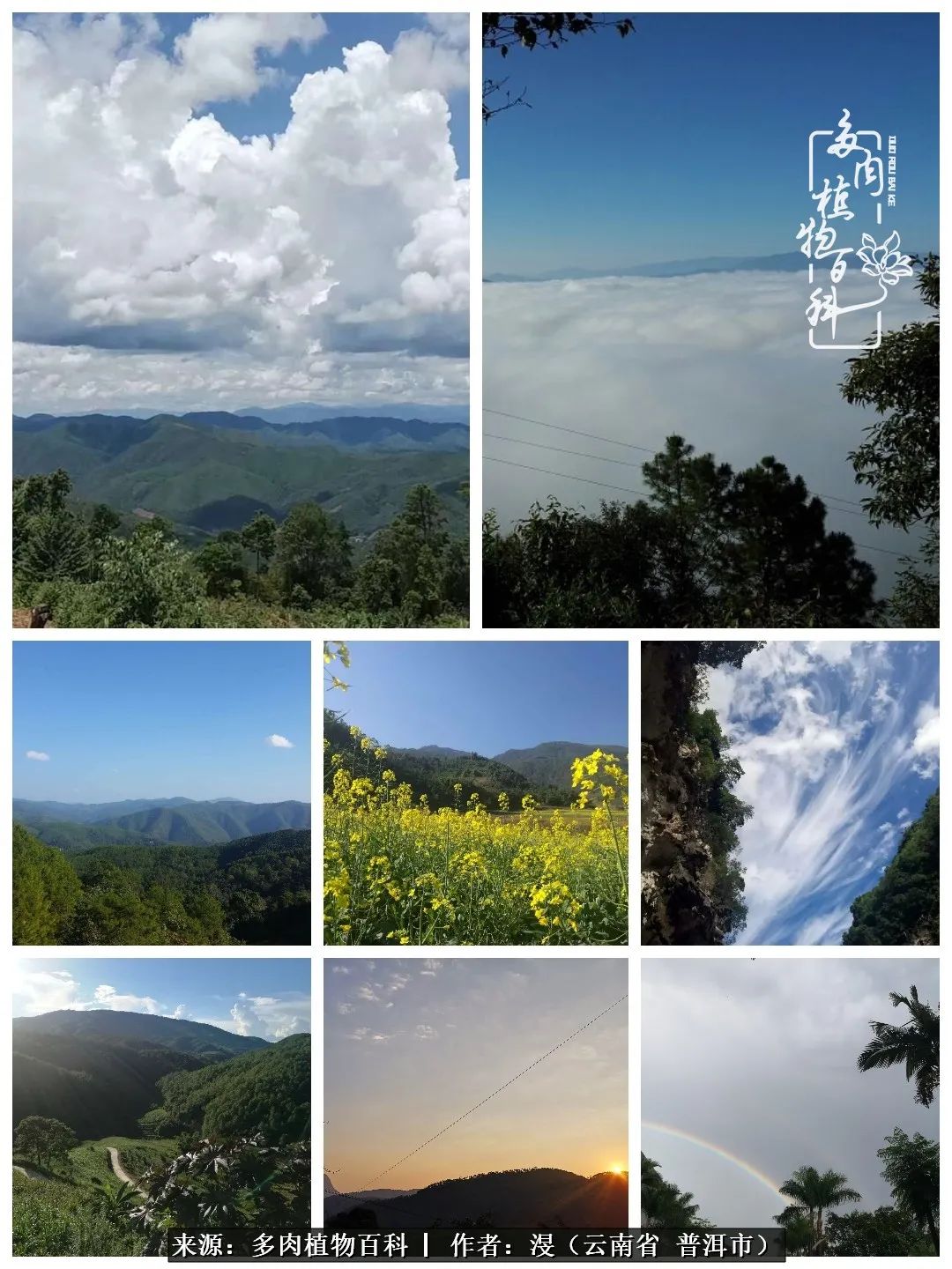 风过留痕讲的啥,风过留痕朗诵