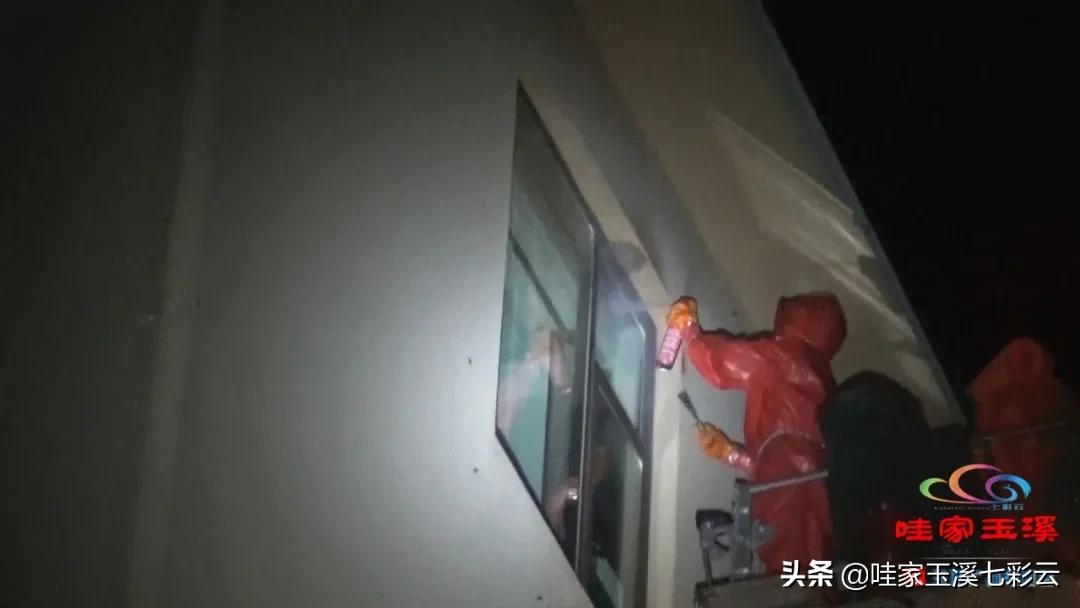 马蜂窝扰民消防救援,马蜂频繁扰民消防员火攻围剿