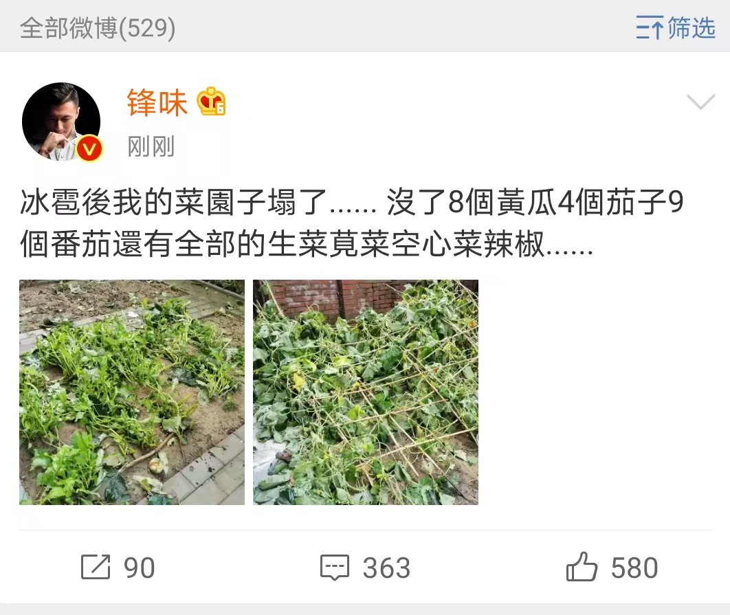 谢霆锋北京楼顶种菜,谢霆锋炸菜园子