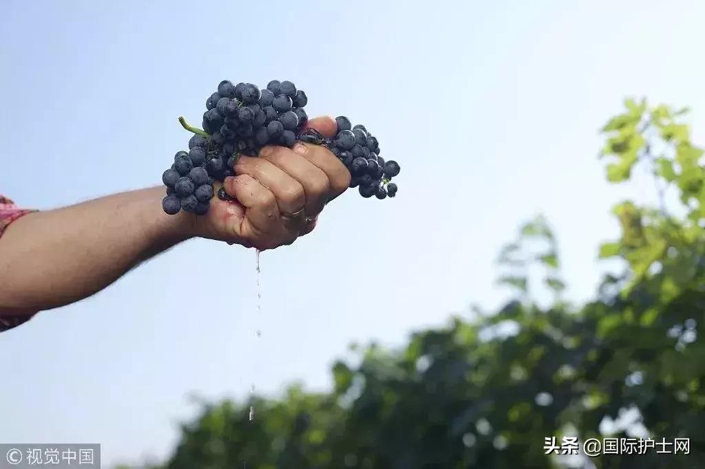 多名女性被害的后果,多名女性受害