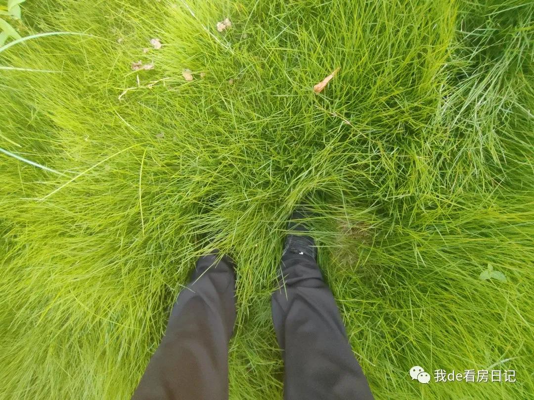 翰林公馆126平小高层,湍北翰林公馆10楼