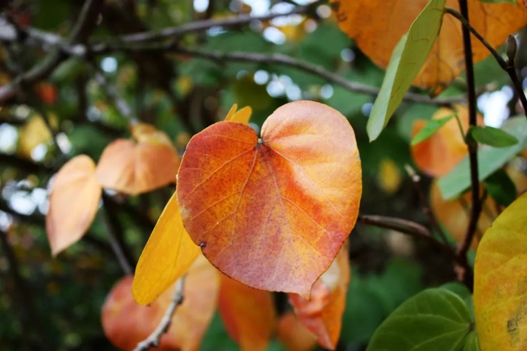 旅行种草,垦丁必打卡景点
