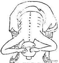 习武一定要拉筋吗,抻筋拔骨练内功