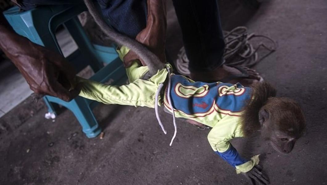 被铁链拴住的一生,被铁链绑住全身后逃脱