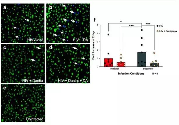 抑郁症认知症状评估与干预,抑郁症研究大数据分析
