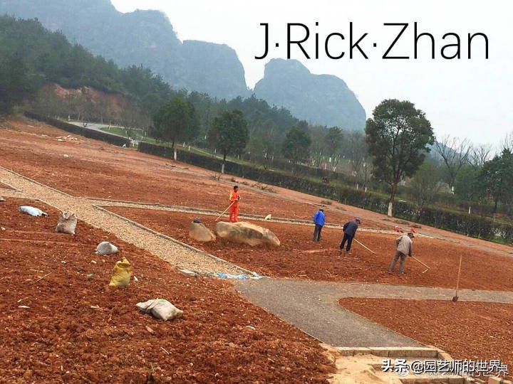 怎么种植草坪不长杂草,如何养好草坪