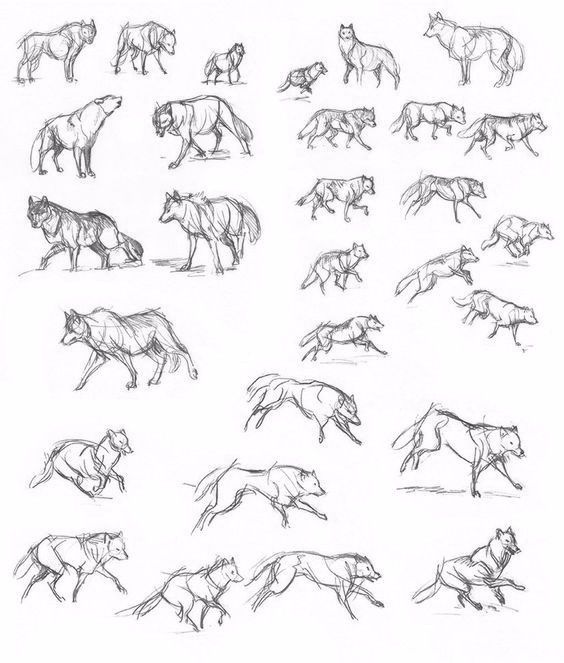 简笔画人物教程大全零基础成人,1000个适合零基础的简笔画教程