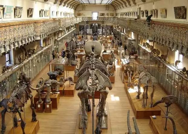 世界十大博物馆埃及博物馆,世界十大博物馆失窃案视频