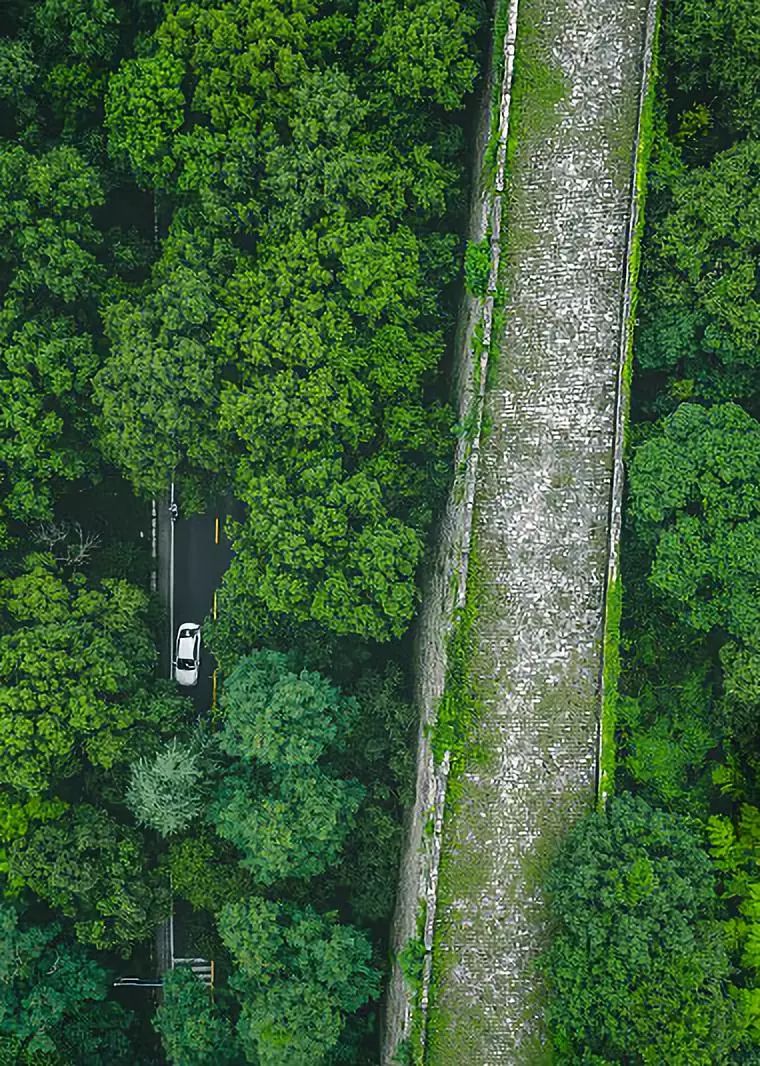去了那么多次你真的了解南京吗,去了很多地方就会有阅历吗