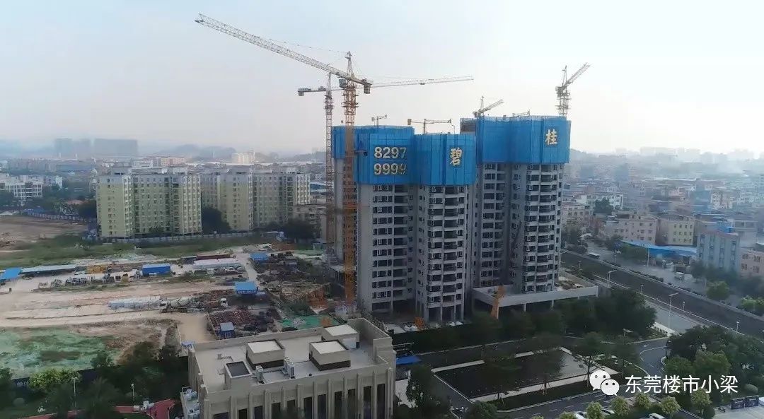 东莞碧桂园玫瑰臻园怎么样,东莞市碧桂园玫瑰臻园