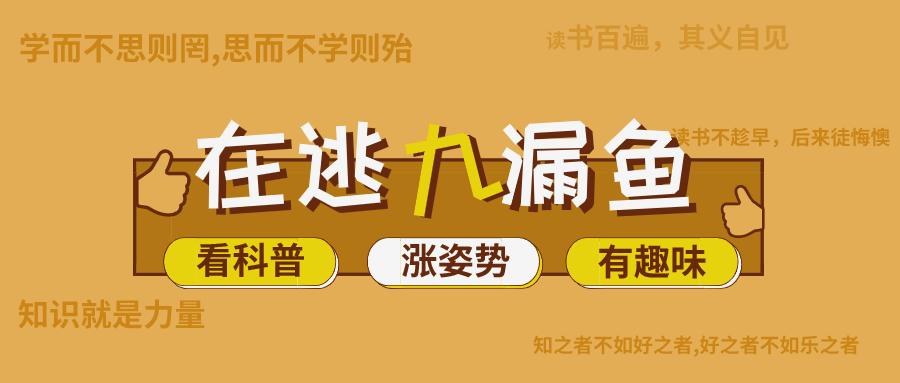 死刑犯最后一晚做什么,死刑犯临死前24小时到底做什么