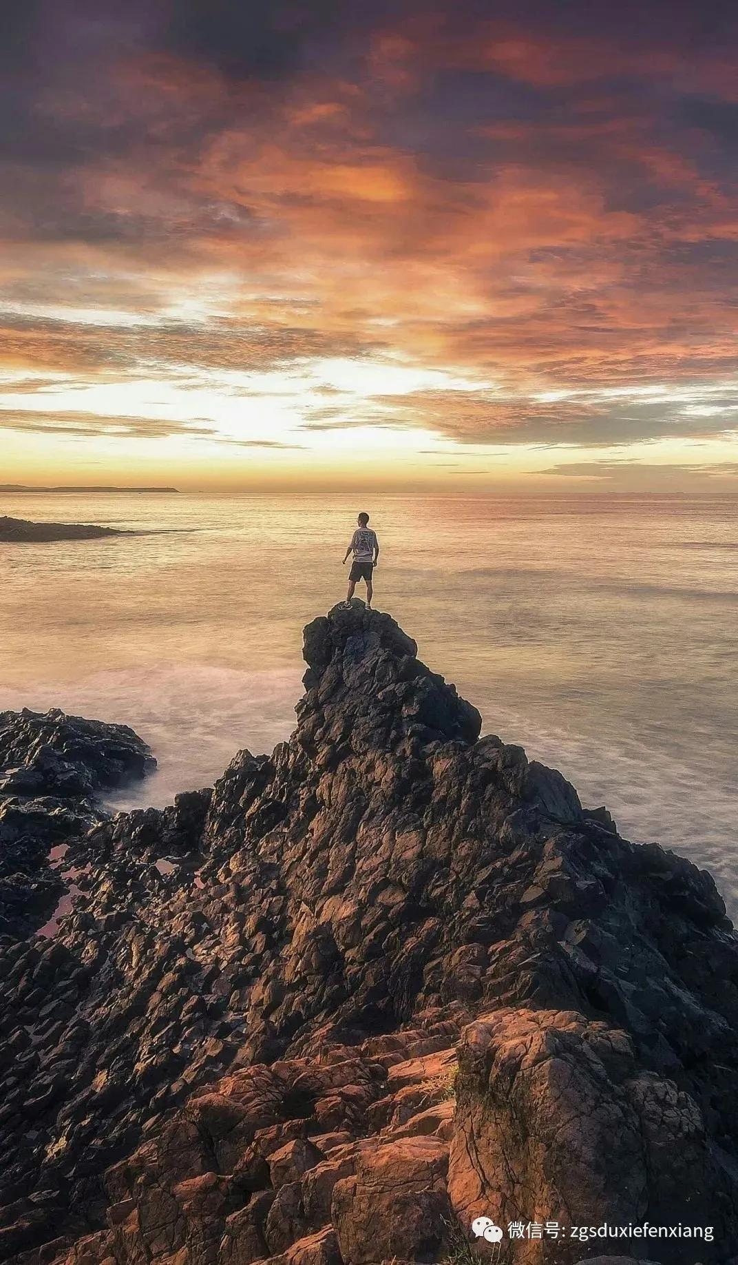 张贵栓‖语文主题学习100问（特刊4）