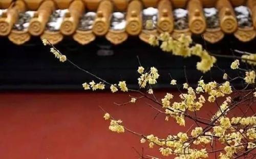 周易中包含的古代文学,周易的文化价值简短点