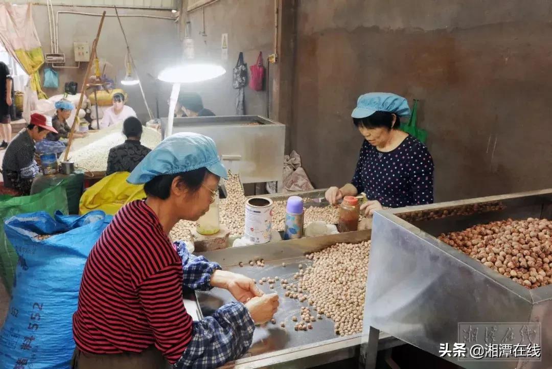 鎺ㄨ繘浜т笟鎵惰传,浜т笟鎵惰传閾哄氨鑷村瘜涔嬭矾