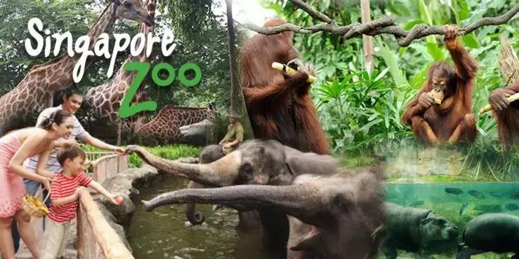 新加坡全岛旅游攻略,新加坡周边哪个岛好玩的地方推荐